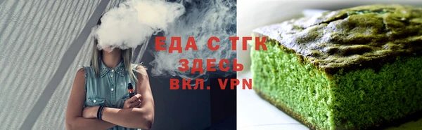 индика Богородицк
