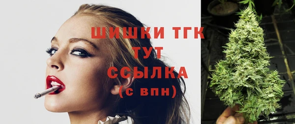 дмт Богданович
