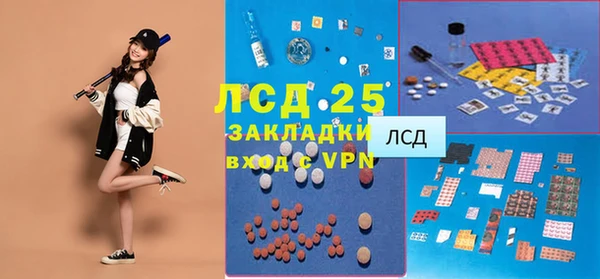 дмт Богданович