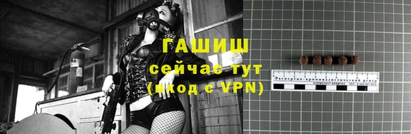 индика Богородицк