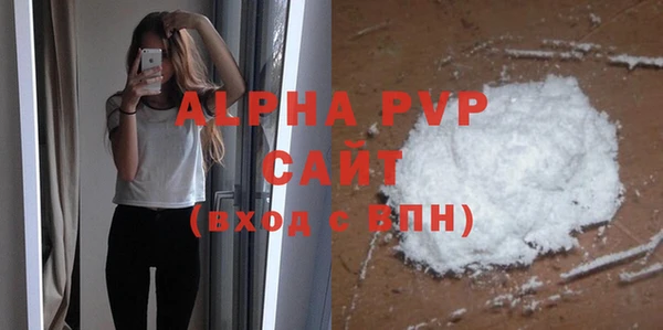 дмт Богданович