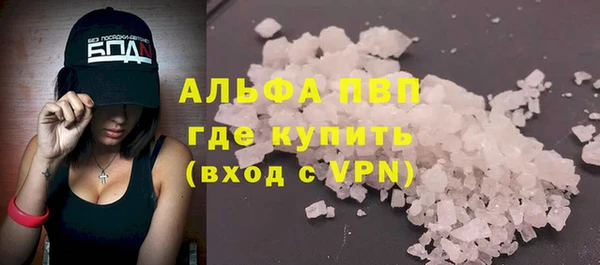 индика Богородицк