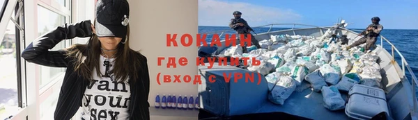 дмт Богданович