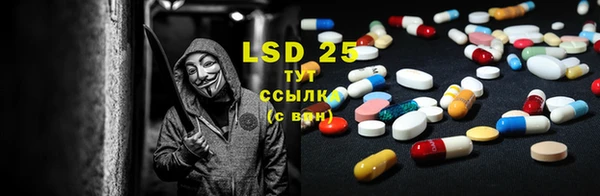 дмт Богданович