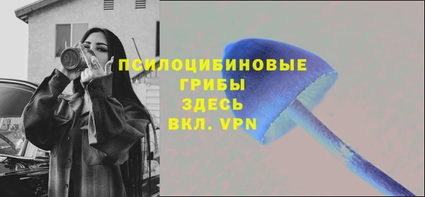 дмт Богданович
