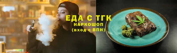 индика Богородицк
