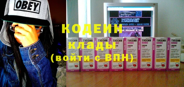 индика Богородицк