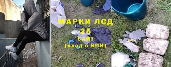 индика Богородицк