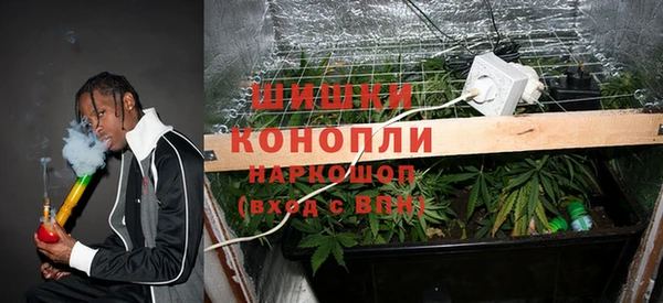 дмт Богданович
