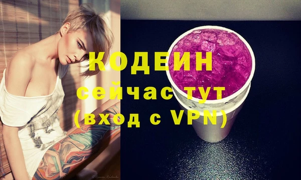 индика Богородицк