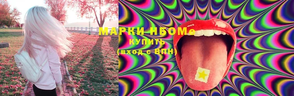 индика Богородицк