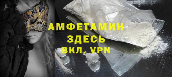 индика Богородицк