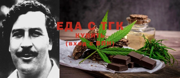 индика Богородицк