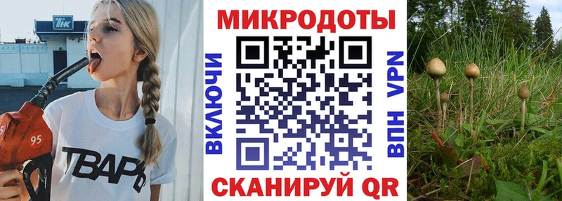 цена Благовещенск Псилоцибиновые грибы прущие грибы