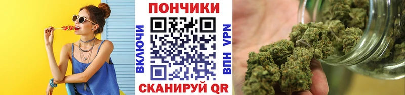 где купить наркоту  Благовещенск  Шишки марихуана марихуана 